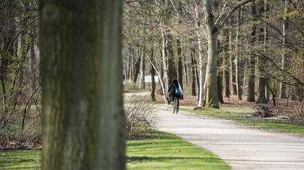 Eine Fahrradfahrerin im Berliner Tiergarten.