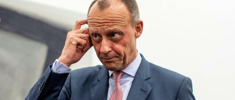 Steht wegen seiner Aussage zu Homosexualität in der Kritik: Friedrich Merz
