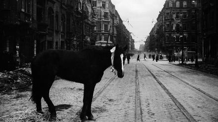 Falckensteinstraße, Ecke Schlesische Straße. Fotografiert von Valery Faminsky, Berlin Mai 1945.
