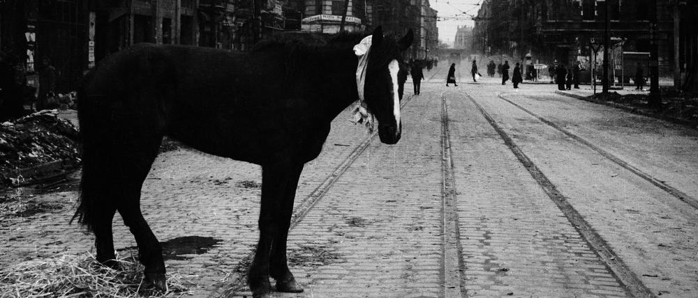 Falckensteinstraße, Ecke Schlesische Straße. Fotografiert von Valery Faminsky, Berlin Mai 1945.