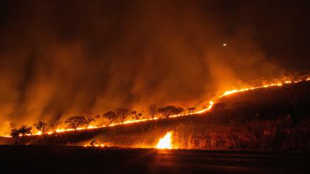 Feuer brennt im brasilianischen Nationalpark Chapada dos Veadeiros. Auch im Pantanal, dem weltgrößten Feuchtgebiet, brennt es. 