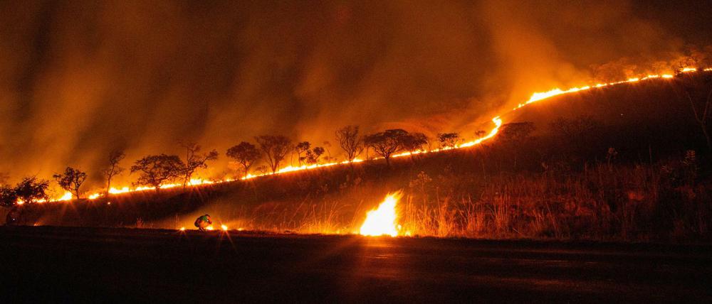 Feuer brennt im brasilianischen Nationalpark Chapada dos Veadeiros. Auch im Pantanal, dem weltgrößten Feuchtgebiet, brennt es.