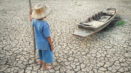 Das große Warten. Die Klimakatastrophe schreitet voran, warnen Experten. Wenn wir die Erde retten wollen, müssen wir handeln – jetzt. 
