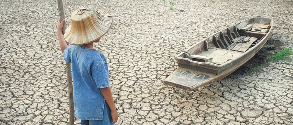 Das große Warten. Die Klimakatastrophe schreitet voran, warnen Experten. Wenn wir die Erde retten wollen, müssen wir handeln – jetzt.