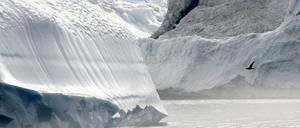 Der Golfstrom hat sich stark verlangsamt.