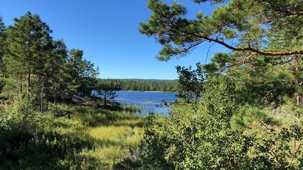 Nur Wasser und Bäume. Einsamer Wanderspaß am Pilgerweg im Dalsland.