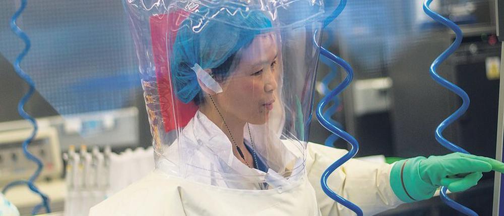 Shi Zhengli vom Virus-Forschungslabor in Wuhan wehrt sich gegen die Laborunfall-Theorie.