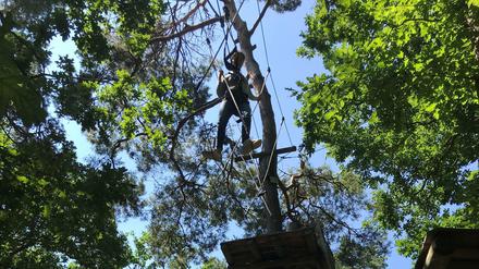 Im Kletterwald ist Höhenangst ein Hindernis. 