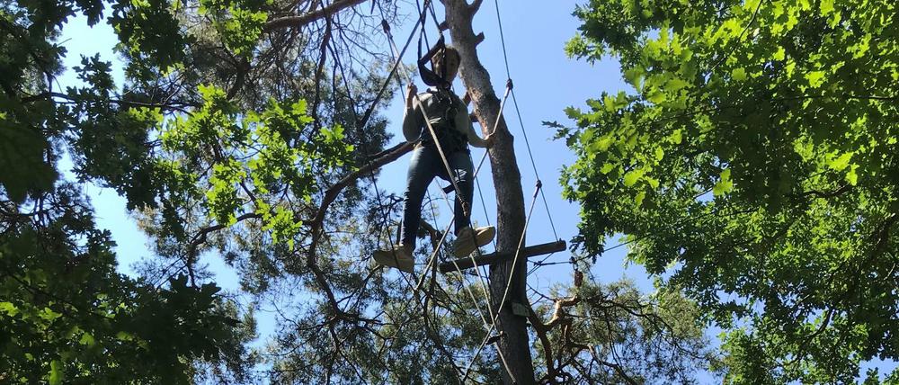 Im Kletterwald ist Höhenangst ein Hindernis. 