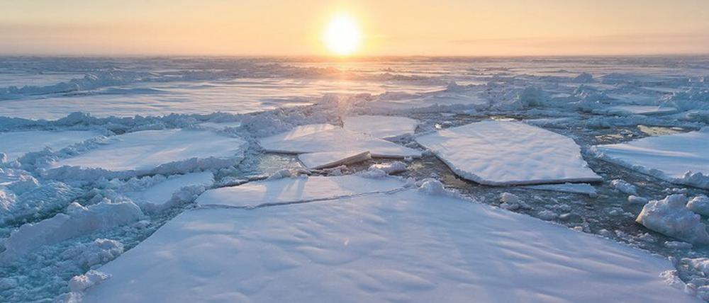Eis ohne Bär. Wenn sich das Klima weiter so erwärmt, werden die Eisschollen im arktischen Meer ab Ende dieses Jahrtausends wohl für immer frei von Eisbären bleiben. Das größte Landraubtier der Welt droht von der Erde zu verschwinden.