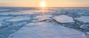 Eis ohne Bär. Wenn sich das Klima weiter so erwärmt, werden die Eisschollen im arktischen Meer ab Ende dieses Jahrtausends wohl für immer frei von Eisbären bleiben. Das größte Landraubtier der Welt droht von der Erde zu verschwinden.