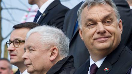 Kuschelkurs? Ungarns Ministerpräsident Viktor Orban (r.) und Jaroslaw Kaczynski haben gut lachen.