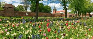 Sag’s mit Blumen. In Wittstock/Dosse blühen nur Wiesen. Mit dem Westen vergleichbare Industrie gibt es vor allem in Sachsens Autowerken. 