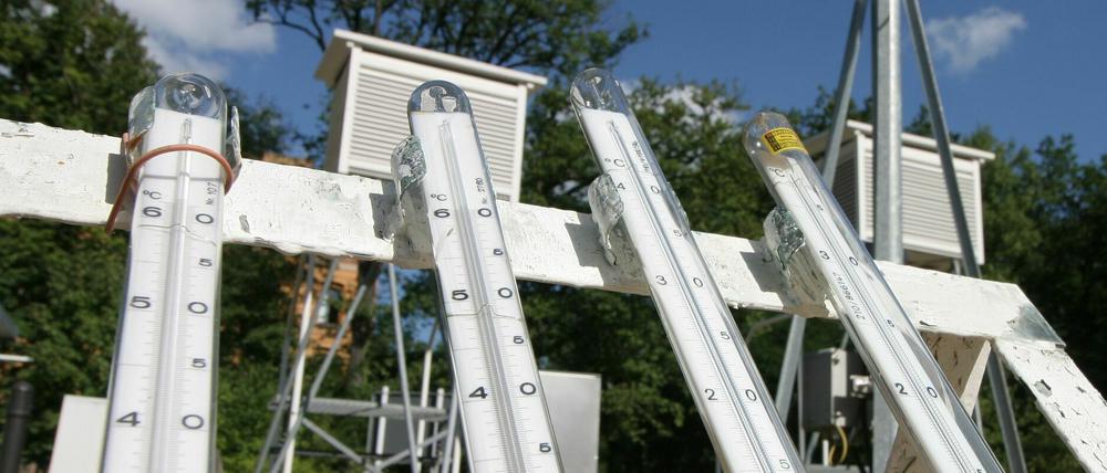 Jugendliche werten assistiert Daten von Wetterstationen aus.