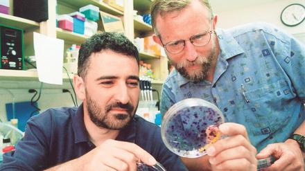 Ausgezeichnet. Der Biochemiker Charles M. Rice (r.) – hier mit einem Studenten im Labor – ist einer der drei Preisträger. Ihm war es gelungen, das Hepatitis-C-Virus für Arzneimitteltests in Zellkulturen zu züchten.