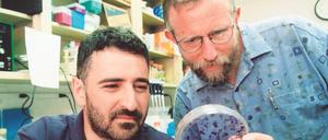 Ausgezeichnet. Der Biochemiker Charles M. Rice (r.) – hier mit einem Studenten im Labor – ist einer der drei Preisträger. Ihm war es gelungen, das Hepatitis-C-Virus für Arzneimitteltests in Zellkulturen zu züchten.