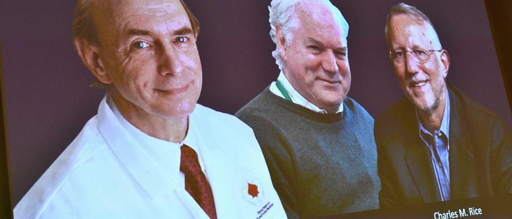 Bekanntgabe in Stockholm: Der Nobelpreis für Medizin geht an drei Wissenschaftler, die wegbereitende Arbeiten für die Bekämpfung des Hepatitis-C-Virus geleistet haben.