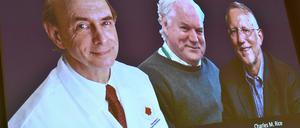 Bekanntgabe in Stockholm: Der Nobelpreis für Medizin geht an drei Wissenschaftler, die wegbereitende Arbeiten für die Bekämpfung des Hepatitis-C-Virus geleistet haben.