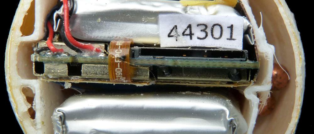 Mit GPS-Sendern ausgestattete Ei-Atrappen sollen zur Nachverfolgung des illegalen Handels eingesetzt werden.