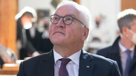 Bundespräsident Frank-Walter Steinmeier muss Gesetze unterschreiben - wenn sie mit der Verfassung vereinbar sind.