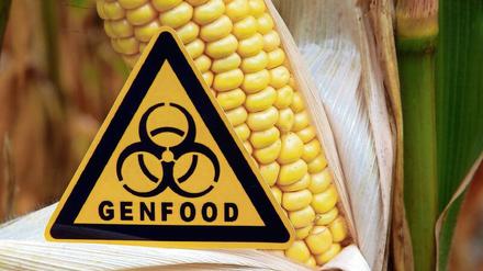 Kein Food ohne Gen. Je natürlicher das Essen, umso mehr Gene drin. Doch die Angst, Genveränderung per se könne schaden, hemmt den Fortschritt in der Pflanzenzucht. 