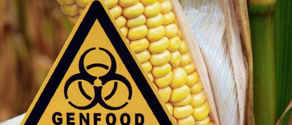 Kein Food ohne Gen. Je natürlicher das Essen, umso mehr Gene drin. Doch die Angst, Genveränderung per se könne schaden, hemmt den Fortschritt in der Pflanzenzucht. 