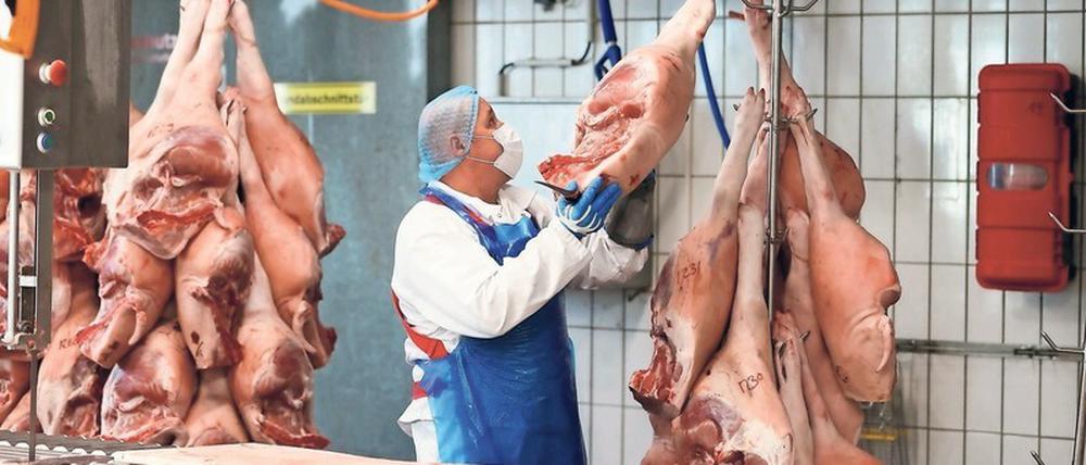 Eine Million schlachtreife Schweine, so befürchten die  Bauern, könnten Ende des Jahres in den Ställen stehen, weil zu wenig geschlachtet wird. 