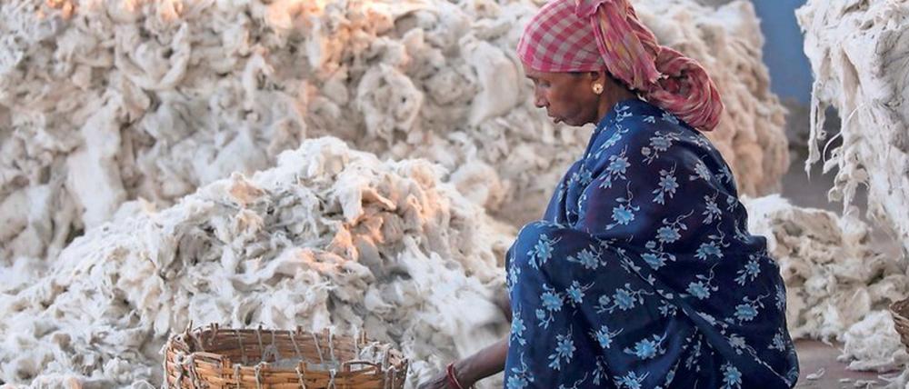 Produktion zurückverfolgen. Eine Frau sortiert Baumwolle im indischen Kolkata. 