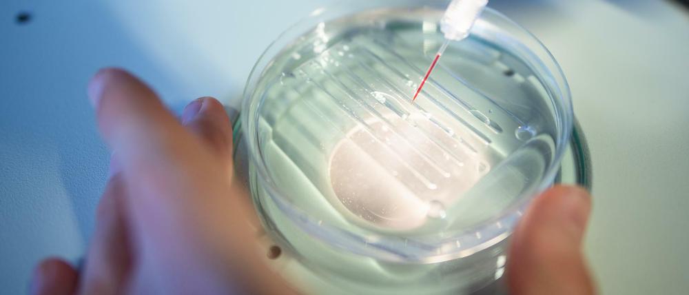 Eine Mitarbeiterin wendet das CRISPR/Cas9-Verfahrens in einem Labor an.