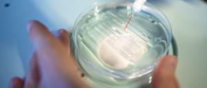 Eine Mitarbeiterin wendet das CRISPR/Cas9-Verfahrens in einem Labor an.