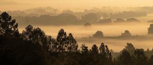  Nebel zieht durch ein Tal bei Niederfinow, während die Sonne aufgeht. An derartigen Naturschauspielen dürfen auch Berliner bald wieder teilhaben. 
