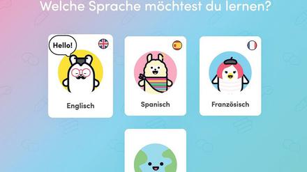 Videochats mit Sprachlernprofis sind das Besondere, das die Online-Schule Chatterbug zu bieten hat.