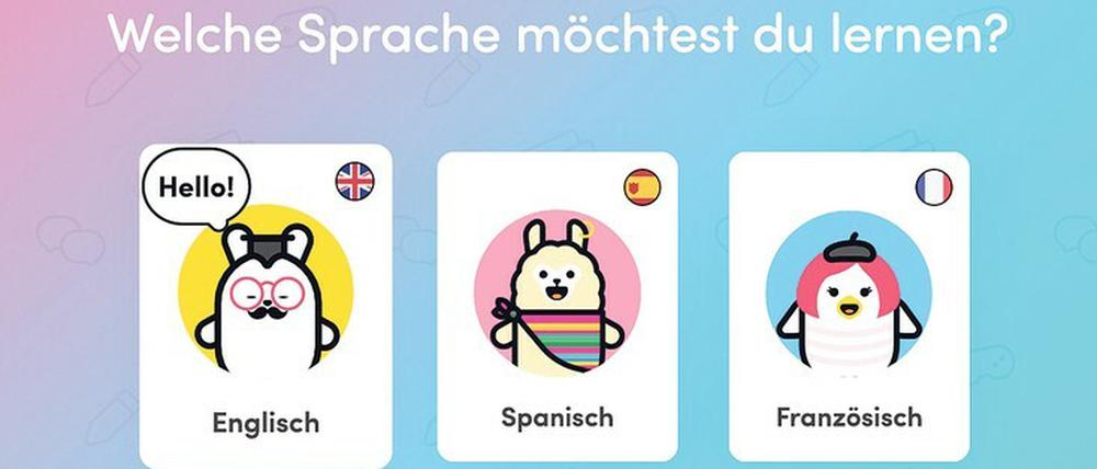 Videochats mit Sprachlernprofis sind das Besondere, das die Online-Schule Chatterbug zu bieten hat.