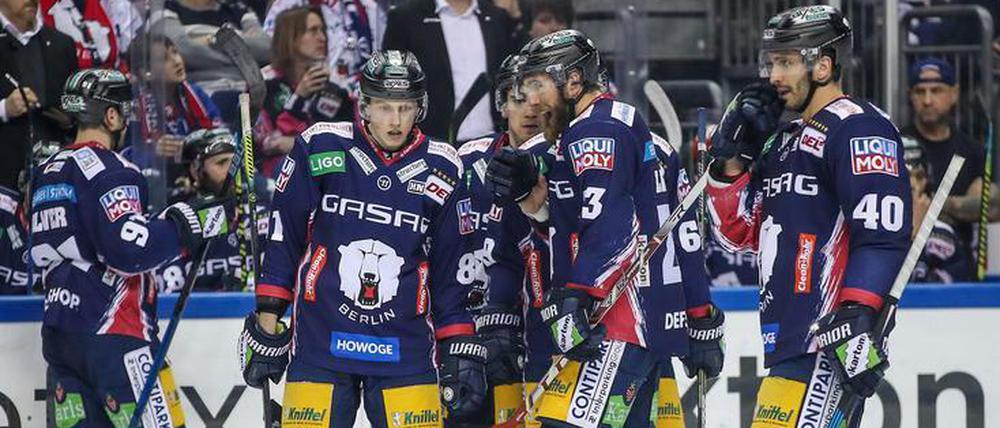 Die Eisbären dürfen bald wieder spielen - zumindest ein bisschen.