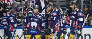 Die Eisbären dürfen bald wieder spielen - zumindest ein bisschen.