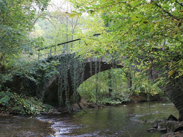 Eine verwunschen zugewachsene Klinkerbrücke auf dem Weg zur Burg Eltz.