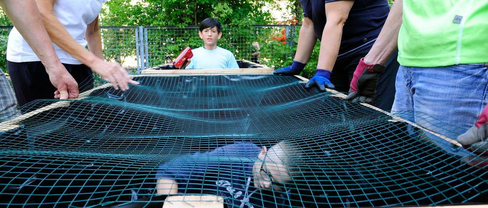 Mehr Verantwortung an die Jugend abgeben: Schüler aus Willkommens-Klassen in Berlin-Marzahn.