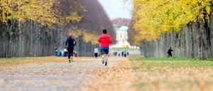 Der Goldene Herbst animiert viele Jogger zu ausgiebigen Läufen.