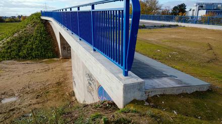 Brücke ins Nichts: In Ladenburg führt eine Brücke über ein ehemaliges Gleisbett, das zu einem Industriegebiet führt. 