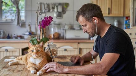 In guter Gesellschaft: Haustiere sind im Homeoffice erlaubt. 