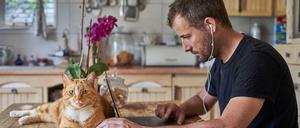 In guter Gesellschaft: Haustiere sind im Homeoffice erlaubt.