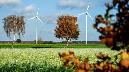 Derzeit stockt der Ausbau der Windenergie an Land 