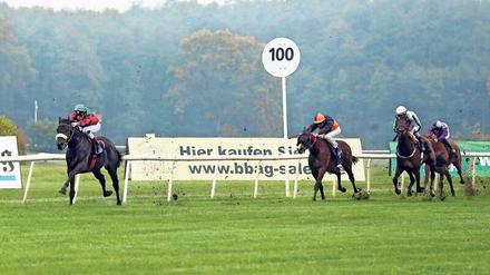 Der Schnellste. Martin Seidl (links, hier mit Wintermond) gewann gleich drei Mal am Sonntag in Hoppegarten. 