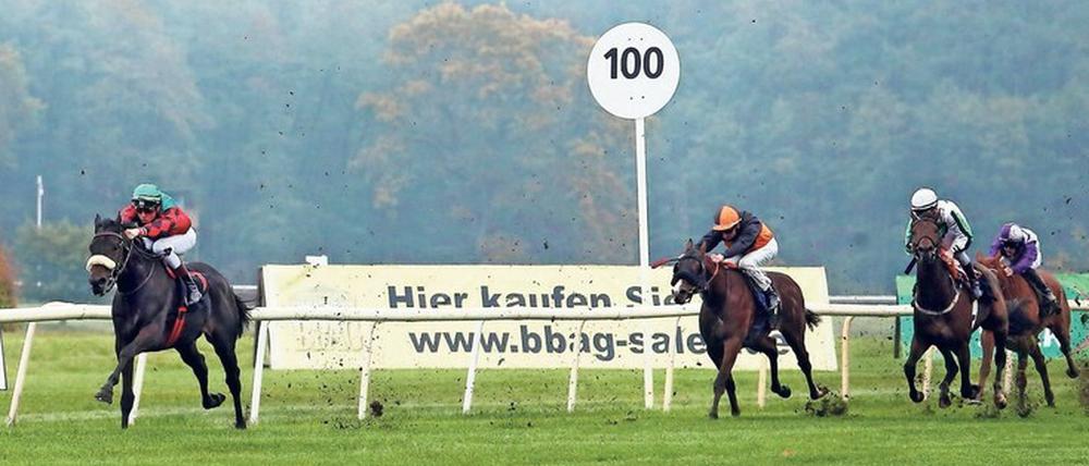 Der Schnellste. Martin Seidl (links, hier mit Wintermond) gewann gleich drei Mal am Sonntag in Hoppegarten. 