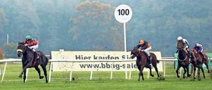 Der Schnellste. Martin Seidl (links, hier mit Wintermond) gewann gleich drei Mal am Sonntag in Hoppegarten. 