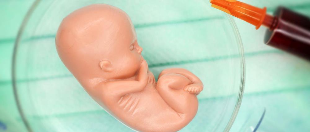 Eine Fötus-Figur in einer Petrischale, die eine künstliche Befruchtung symbolisiert. Sie ist ist mittlerweile Alltag in Deutschland. 