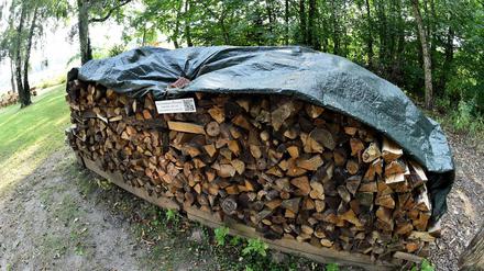 Corpus Delicti: Dieser Holzstapel auf dem Gelände des Inselhotels Hermannswerder sorgte für viel Ärger.