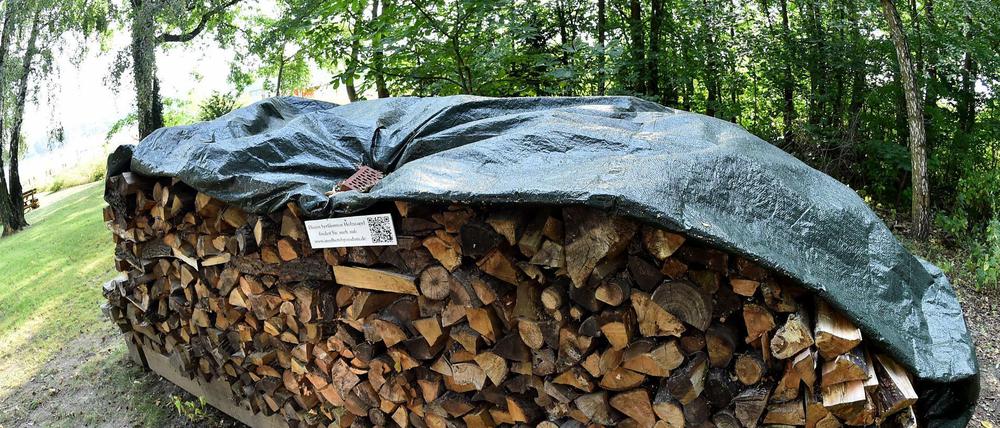 Corpus Delicti: Dieser Holzstapel auf dem Gelände des Inselhotels Hermannswerder sorgte für viel Ärger.