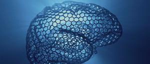 Hirnmodell. Mit „Künstlicher Intelligenz“ der natürlichen auf der Spur. 