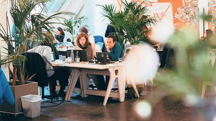 Zusammen an Projekten arbeiten. Nerds sind beim Softwareentwickeln nicht gefragt.
